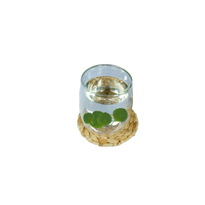 Traditional recipe Wash for sore eyes from Swedish Ivy