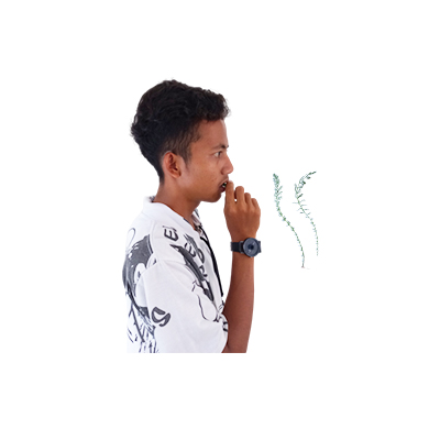 Traditional recipe Toothache from Daun Seribu