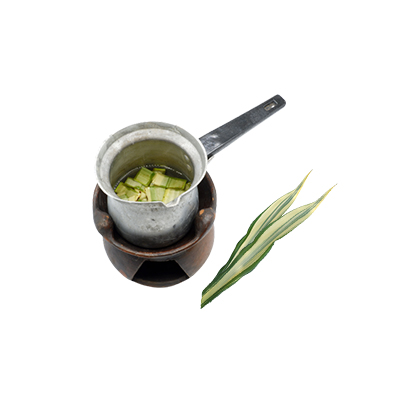 Traditional recipe Rheumatism from Agave Daun Lebar