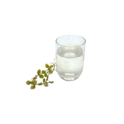 Traditional recipe Canker sores from Daun Pitis Kecil