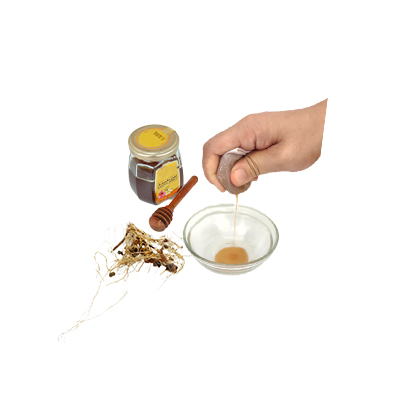 Traditional recipe Treatment of chronic bronchitis from Bunga Pikok